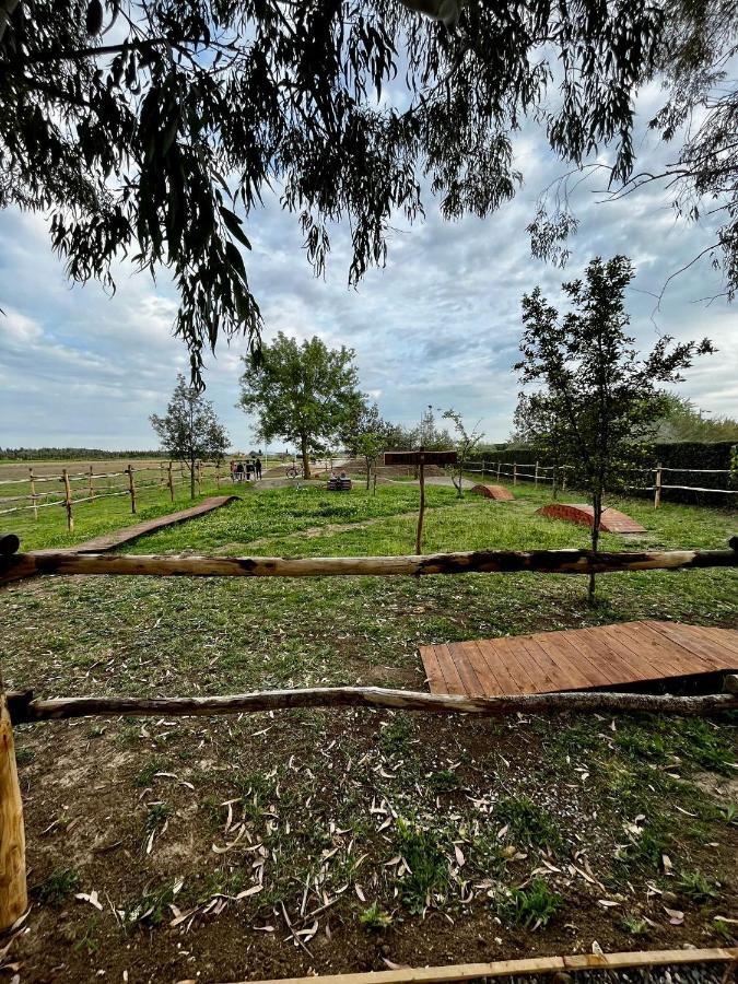 Bagno Roselle Agriturismo Le Giare מראה חיצוני תמונה